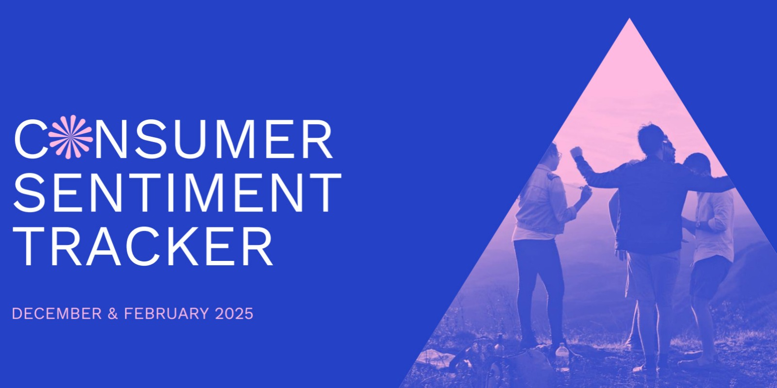 Consumer Sentiment Tracker